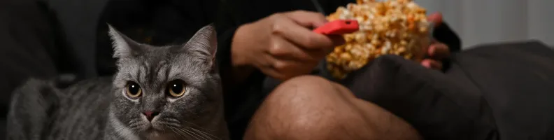 Netflix Leads, but Rivals Are Rising