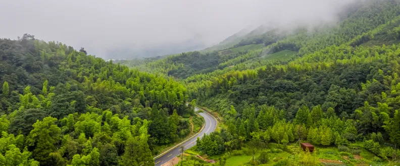 China’s See You Again Sparks Global Buzz with Emotional Truths